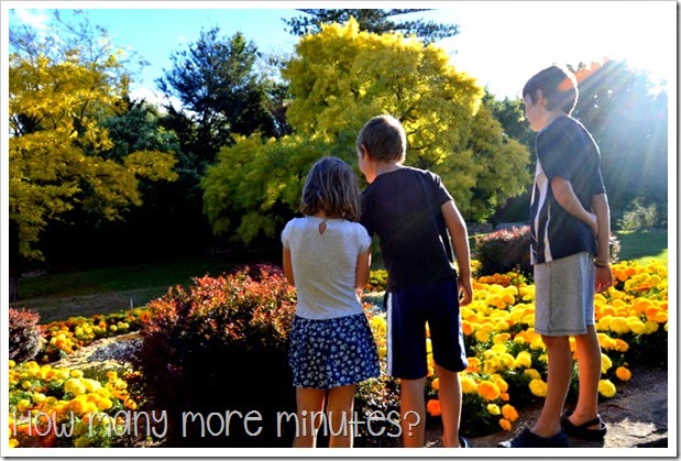 Royal Tasmanian Botanical Gardens ~ How Many More Minutes?
