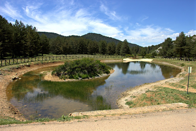 Nacimiento del río Tajo