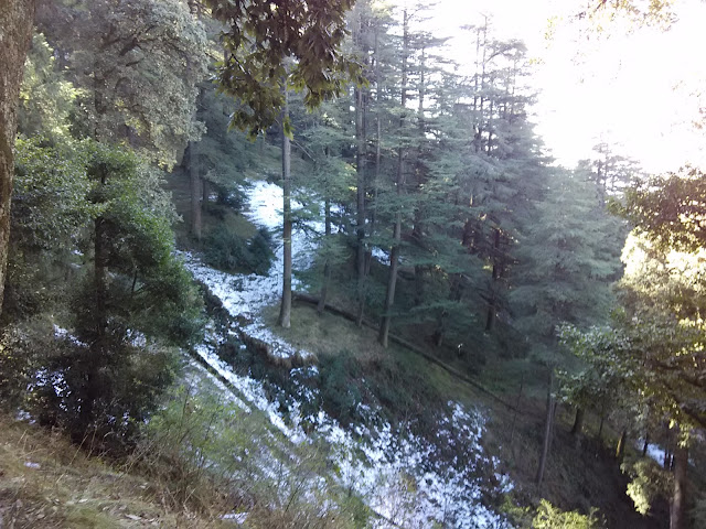 snow in shimla