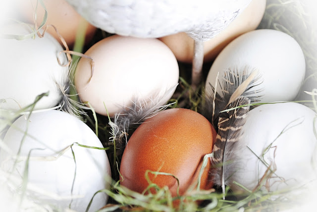 Osterdeko in natürlichen Farben - Osterdeko selber machen