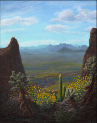 Sonoran,desert,AZ,Arizona,cactus,cholla,saguaro,wildflowers,brittlebush,rocks,view,birdseye view,yellow,green.blue,clouds