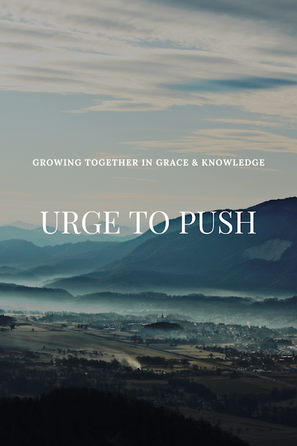 Urge to Push. How the activity of the Holy Spirit Guides the Christian in prayer and in sharing the Gospel.