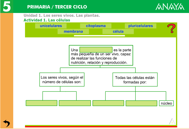 http://www.joaquincarrion.com/Recursosdidacticos/QUINTO/datos/02_Cmedio/datos/05rdi/ud01/01.htm