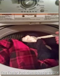 IMAG2846