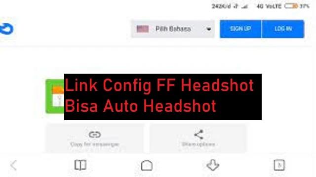 Link Config FF