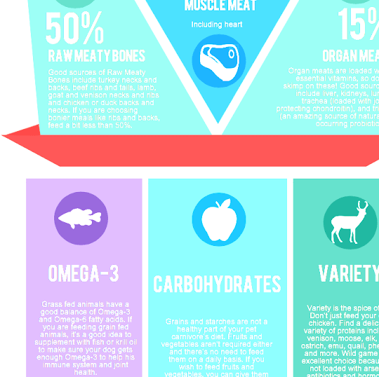 Raw Feeding - Feeding Dogs Raw Diet