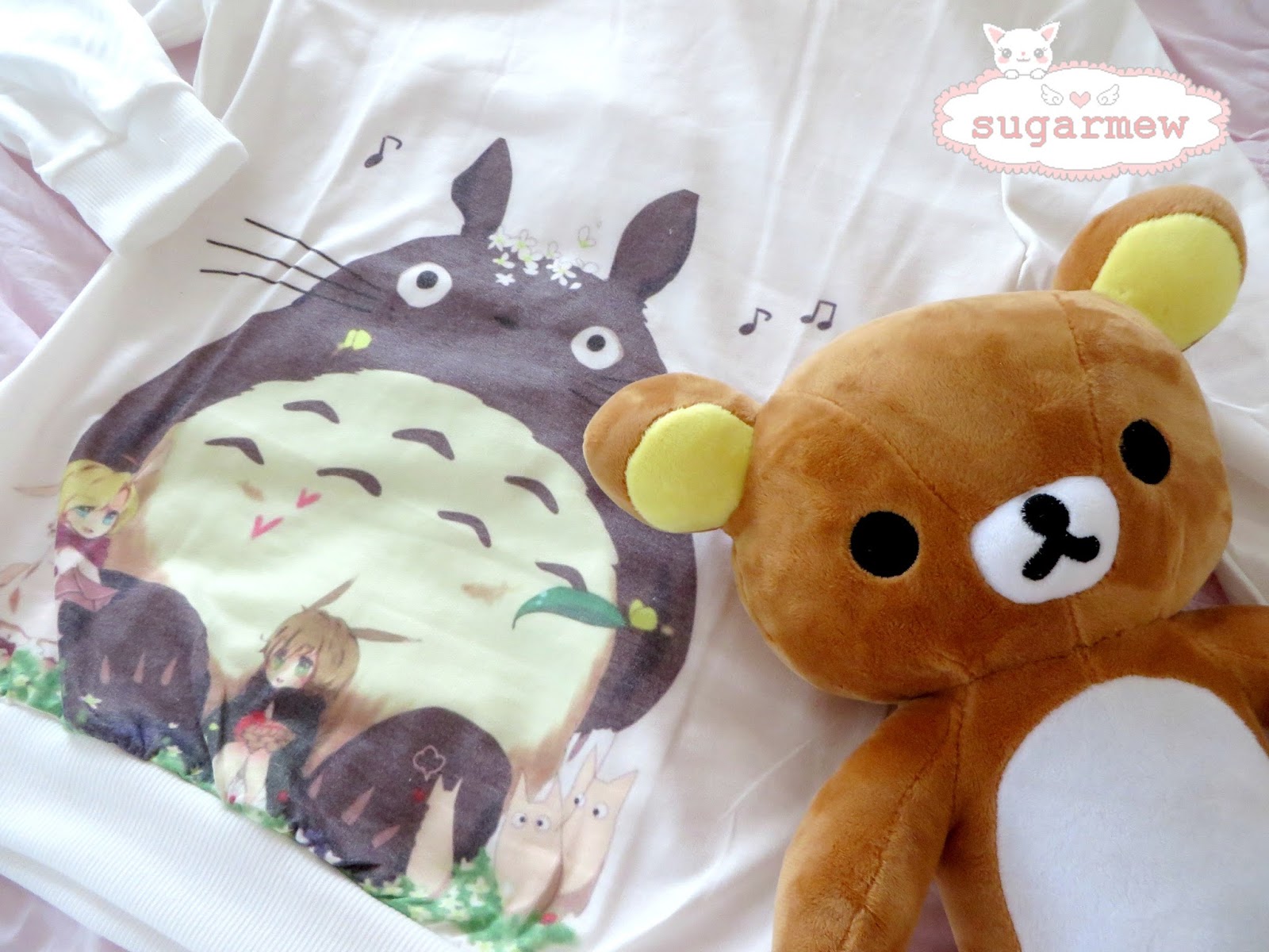  Totemo Kawaii Shop   Rilakkuma and Totoro Sweater  Review 