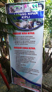 Tempat Pelancongan Menarik Malaysia, Perlis Indera Kayangan, Sanglang, Ladang Nipah Kipli, Qiya, Saad