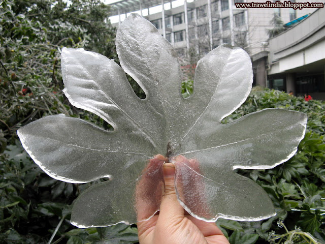 After ice rain in South China