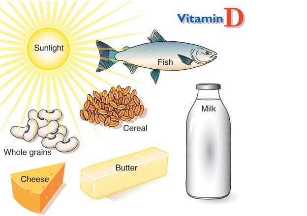 لماذا نحتاج فيتامين د؟