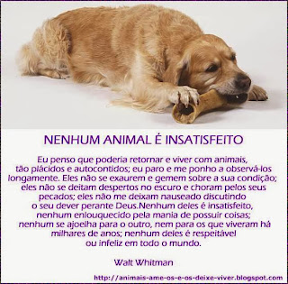  mensagens com animais 