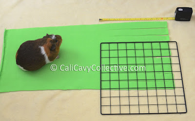 how to make guinea pig fleece forest tutorial