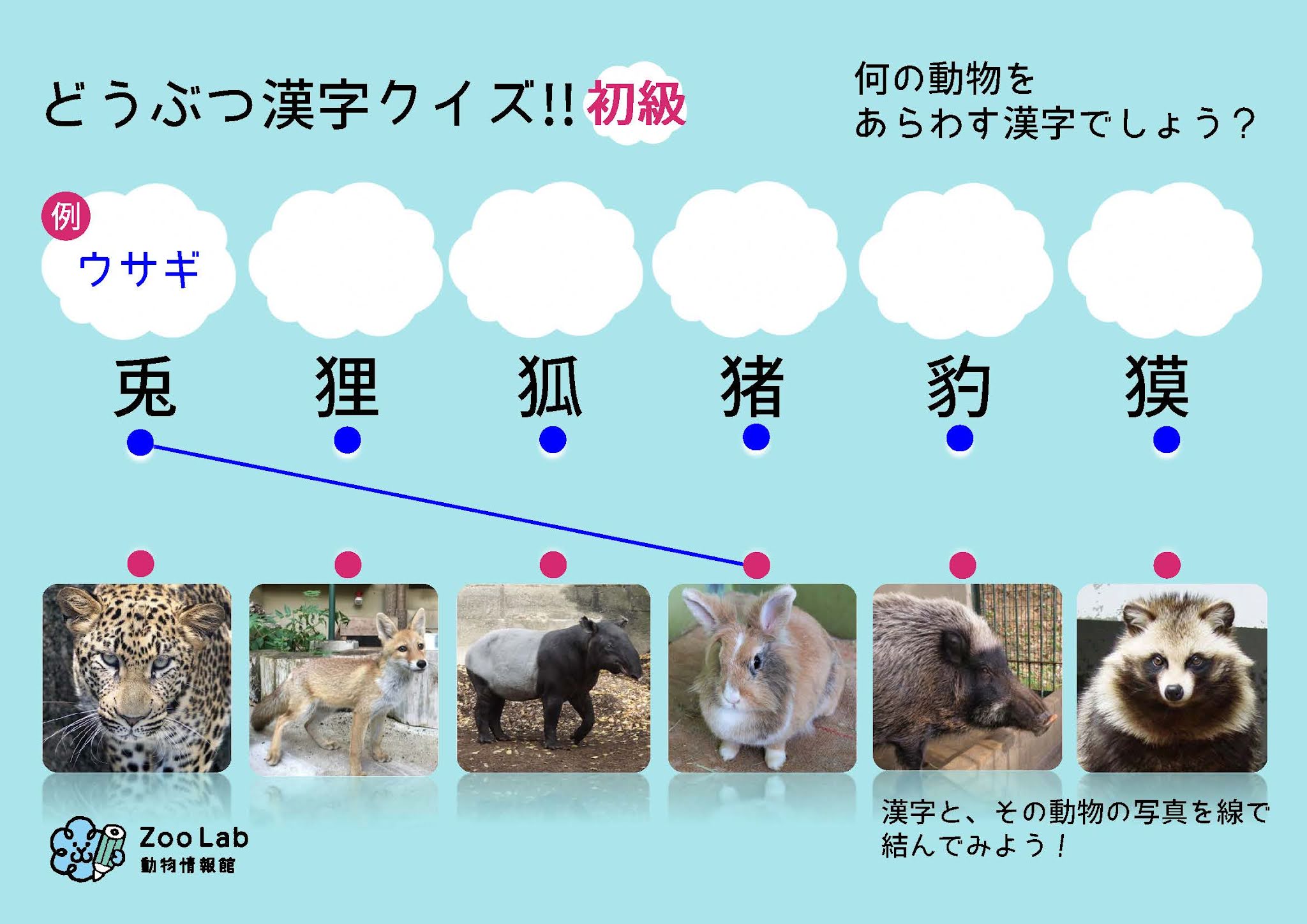 動物情報館zoolab 今週末のおでかけ ない 情報 に どうぶつ漢字クイズを掲載