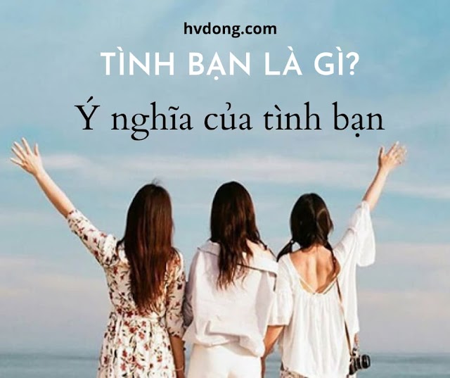 Tình bạn là gì? 40 câu nói hay và ý nghĩa về tình bạn