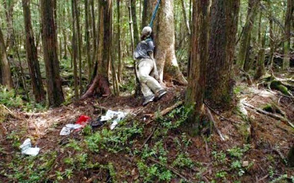 7 Hutan Dengan Nuansa Misterius Paling Seram dan 