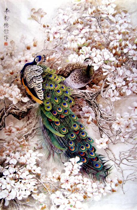 Beautiful Peacock Paintings
