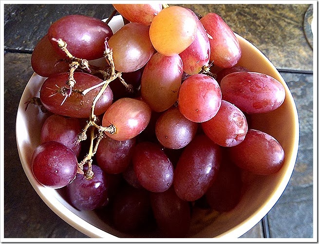 free-images-of-grapes-1 (2172) free-images-of-grapes-1 (2172)