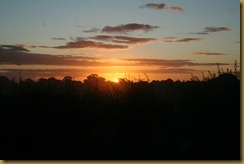 IMG_4976