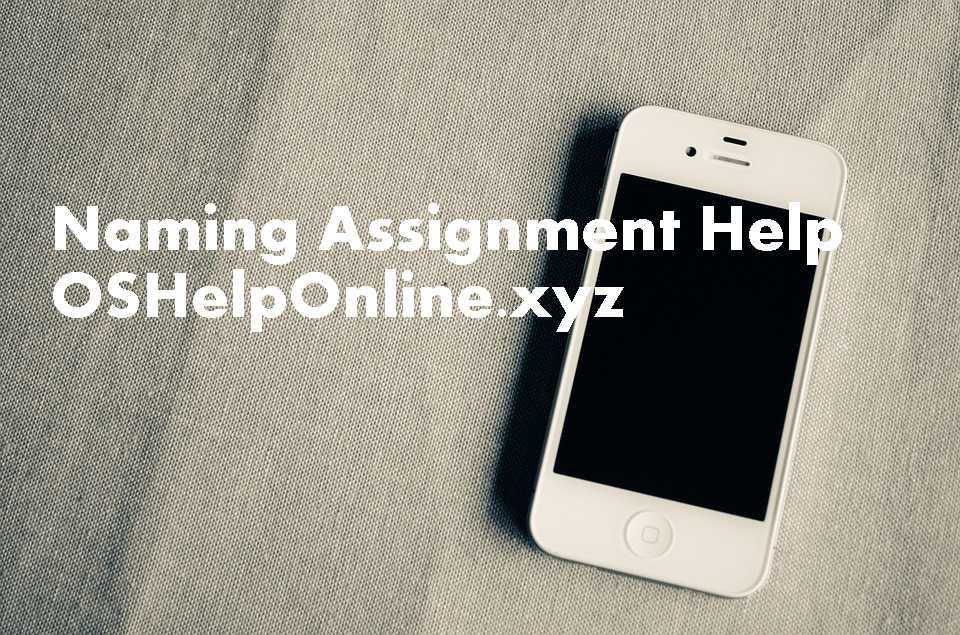 Security And Protection Assignment Help