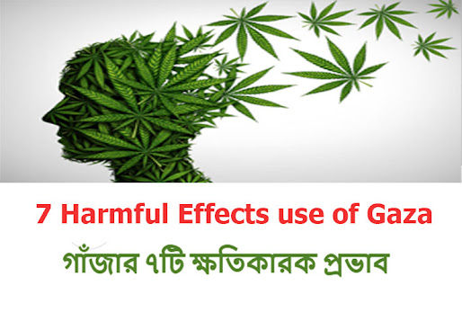 গাঁজার ক্ষতিকারক প্রভাব । Harmful Effects of Gaza