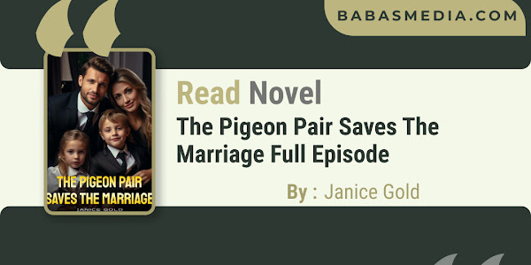 Read The Pigeon Pair Saves The Marriage Novel By Janice Gold / Synopsis