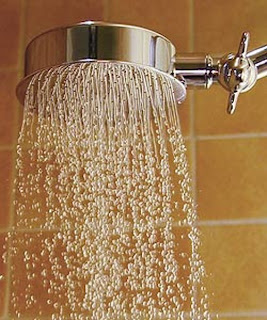 Rainfall Shower Heads