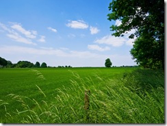 dreamstime_5993013