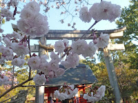 平安時代に「桜の宮」称され、15種約40本の桜が植えられている。