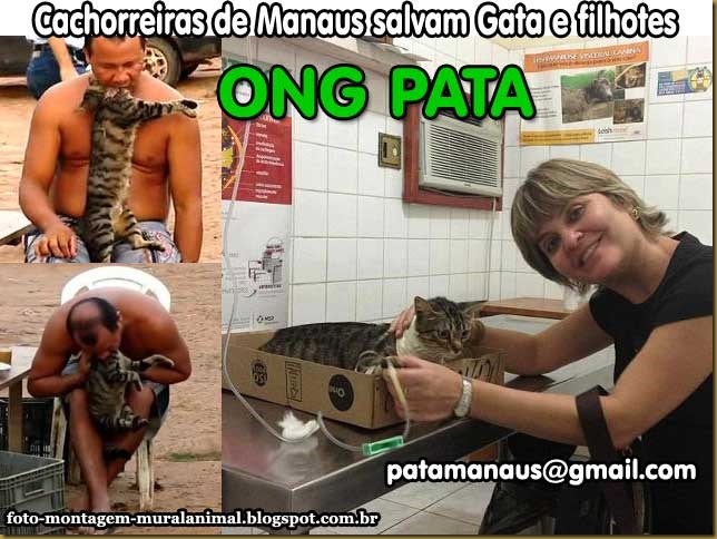 ong-pata