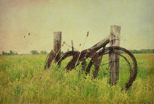old fence