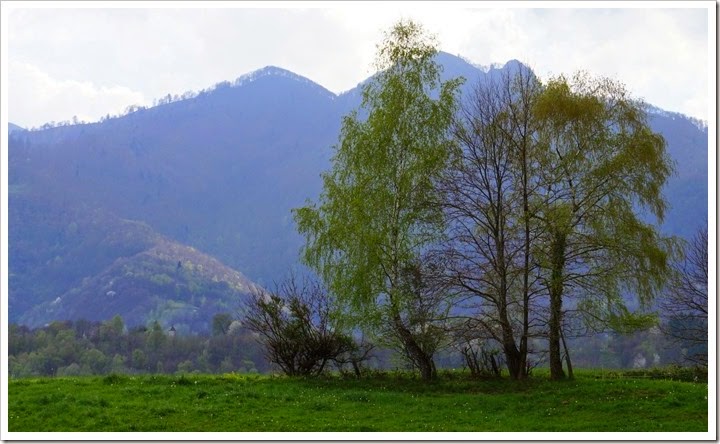 DSC08015