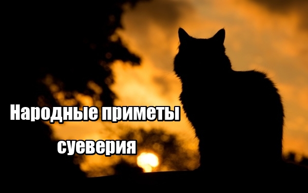 Верить приметам или нет — личное дело. Но даже те люди, которые не считают себя суеверными, инстинктивно не любят просыпать соль или встречать на дороге черных кошек.  Дарить нож не следует — к ссоре; подаривший должен взять в обмен деньги, хотя бы копейку  Не оставляй пустую бутылку на столе — будет безденежье.  Рассыпать соль — к ссоре.