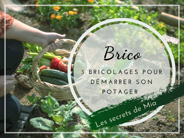 Jardin potager pour débutant