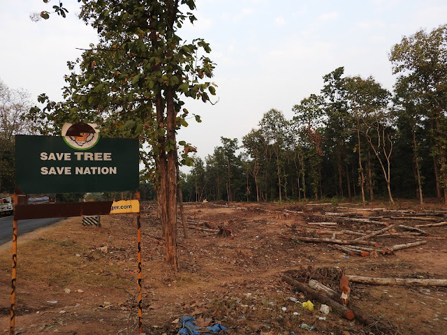 That irony died a thousand deaths with this image isn't a hyperbole | National Highway 7 en route near Mowgli's Seoni in Madhya Pradesh, India (as seen in November 2015)