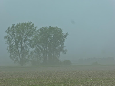 Sichtbehinderungen