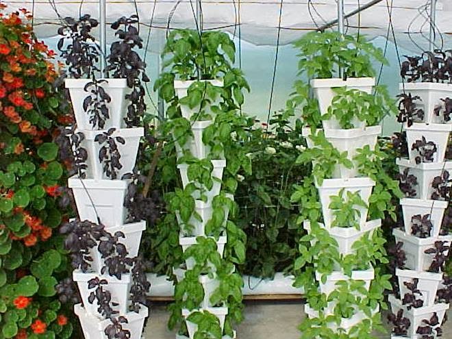 News and Video on Hydroponics Home : Aquaponics Horticulture