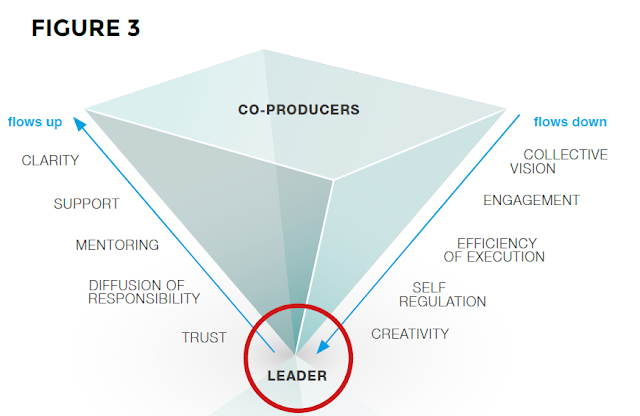 Seeking diffused leadership model