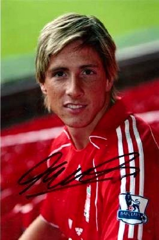 fernando torres spain