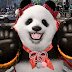 Novo gameplay de Tekken 8 apresenta a personagem Panda | Trailer