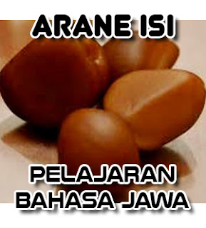 Arane isi, sebutane isi, Pelajaran Bahasa Jawa, daftar nama isi buah dalam bahasa jawa, pelajaran sekolah, sekolah dasar, pepak boso Jowo, belajar bahasa jawa, kumpulan, rangkuman, istilah jawa