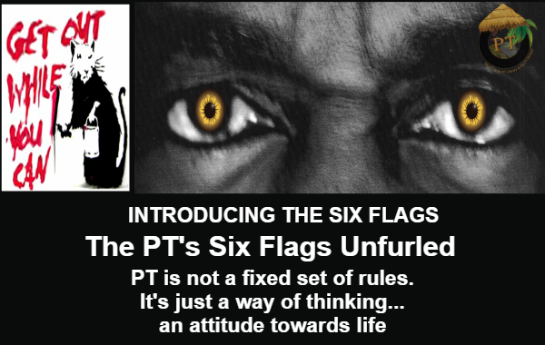 The 6 PT Flags is a concept that will open up a lot of new options for you.