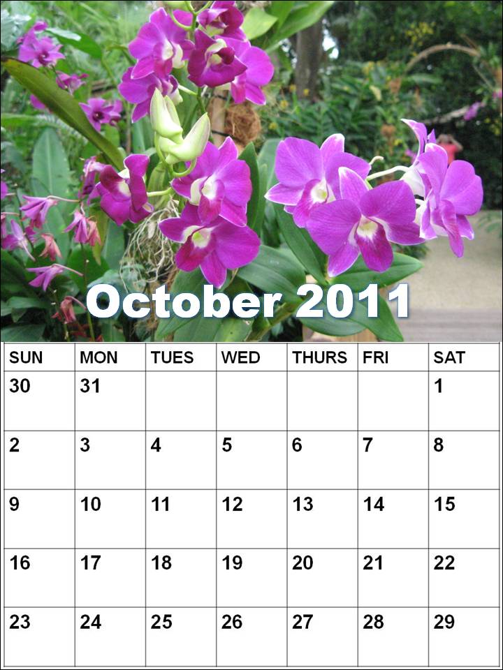 october 2011 calendar with holidays. October 2011 Jewish Holidays