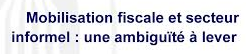 Secteur non enregistré et mobilisation fiscale dans les pays en développement: Cas des pays d'Afrique.