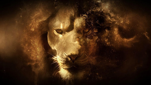 lion wallpapers, latest wallpapers, hot wallpapers, hot hd wallpapers, latest hot wallpapers, hd wallpapers, wallpapers hot, wallpapers hd, pictures, hot pictures, latest hot pictures, images, hot images, latest images, pics, hot pics, latest pics, latest hot pics, photos, hot photos, latest hot photos, photo shoot, latest photo shoot,tigermagazine cover page stills, stills, high resolution pictures, high resolution wallpapers,pictures of ,pics oftiger,tigerfake wallpapers,tigerfake pictures, wallpaper