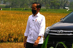 Muhammad Lutfi Klarifikasi Pernyataan Jokowi Soal Kuliner Bipang Ambawang