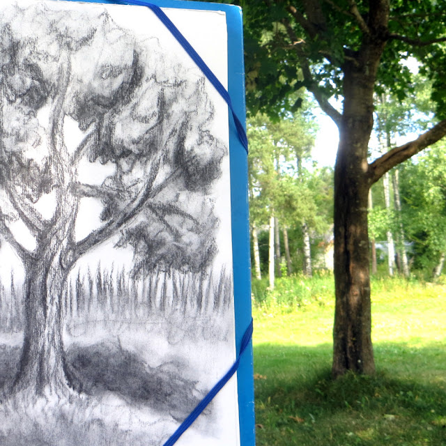 Plein air charcoal tree drawing