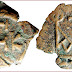 Pentanummium: coin of Byzantine Empire; 5 nummi