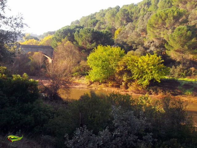 Ruta de Los Puentes (Sierra Morena Cordobesa)