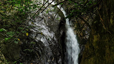 Waterfalls,Tamilnadu Kerala.