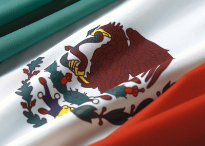 Mexican Government scholarship